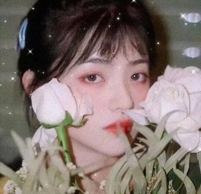 兔子，等着瞧！